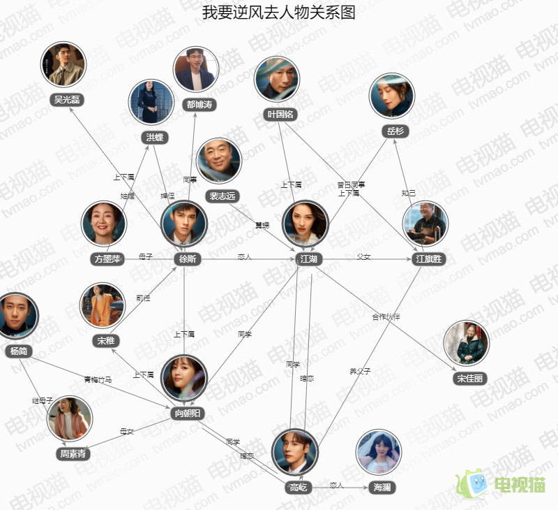 我要逆风去人物关系图